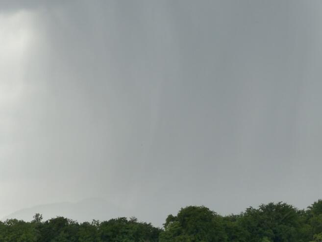 龙舟水集中期什么意思 龙舟水集中期指什么时候