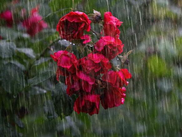 我国暴雨集中地区是 我国暴雨发生最多在哪里