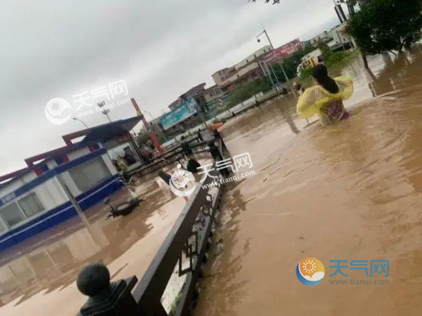 广州暴雨引发泥石流致4人死亡 此次暴雨强度范围均超历史纪录