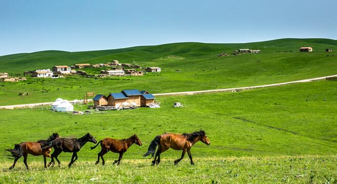 2020夏天自驾游去哪里旅游最好 夏季自驾游沿途风景很美的路线