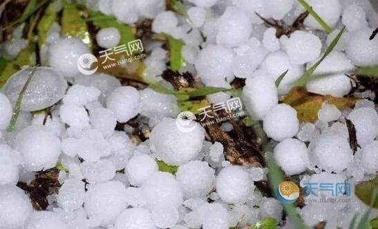 潍坊冰雹雷雨大风天气频发 气温整体偏高森林防火形势严峻