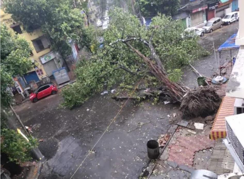 印度又有新台风袭击？将侵袭“小上海”孟买