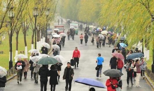 重庆局地降雨量可达中雨 今日主城区气温仅有25℃