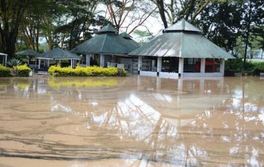 肯尼亚强降雨引发泥石流灾害 至少285人死亡81万人受灾