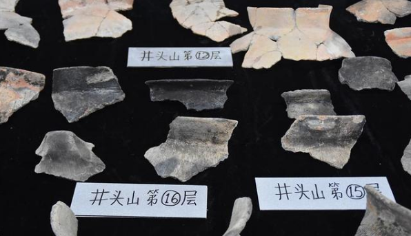 浙江余姚史前贝丘遗址出土！8000年前的陶片长什么样？
