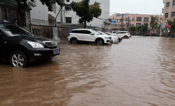 东莞暴雨致4.09万亩农作物受灾 未来三天全市仍有雷阵雨