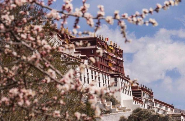 西藏布达拉宫限流开放：下午3点就禁止入宫