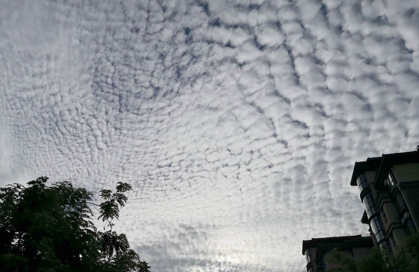 实拍海口大面积鱼鳞云!天气不稳定因素加剧