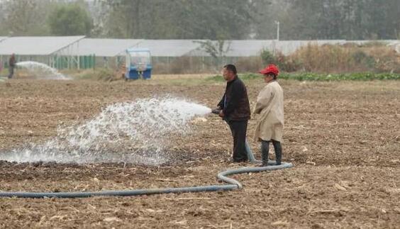 合肥多地出现中等气象干旱 100多万亩水稻缺水播种