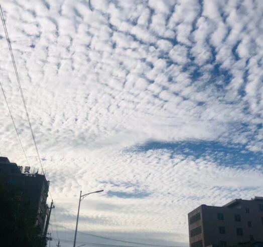 鱼鳞云代表什么天气 鱼鳞云是什么云