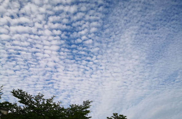实拍海口大面积鱼鳞云!天气不稳定因素加剧