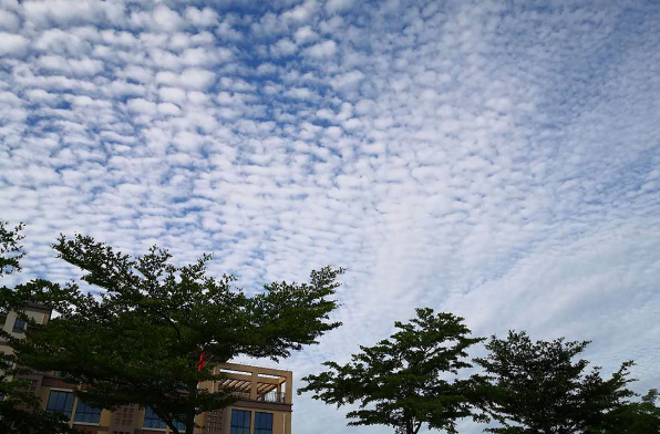 实拍海口大面积鱼鳞云!天气不稳定因素加剧