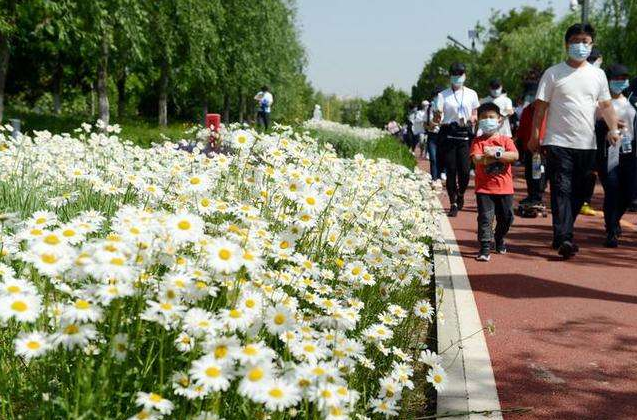 北京最高气温34℃！北京迎来2020年首个高温日