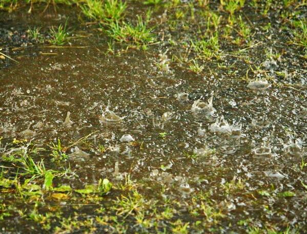 2020年什么时候入梅 2020入梅和出梅时间具体时间