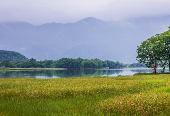 2020夏天武汉周边哪里好玩又凉快 夏季武汉旅游清爽舒适好去处