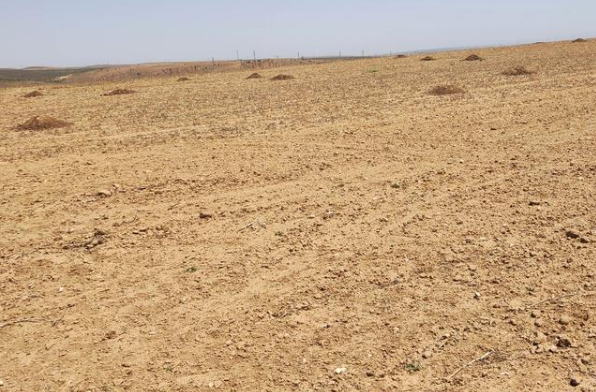 内蒙古干旱面积超四成是怎么回事？重旱特旱占比达到52%