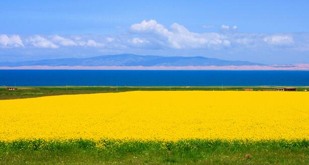 七月份青海湖旅游攻略 七月去青海最佳游玩线路