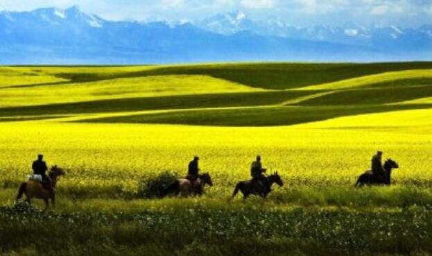 七月份青海湖旅游攻略 七月去青海最佳游玩线路