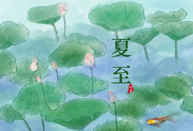老鼠图片大全