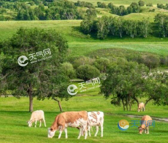 2023七八月份国内最佳旅游地方 适合78月份旅游避暑的地方