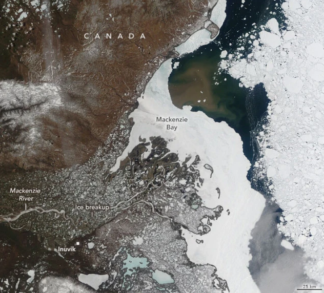 北冰洋一周变黑是怎么回事?北极也被污染了?