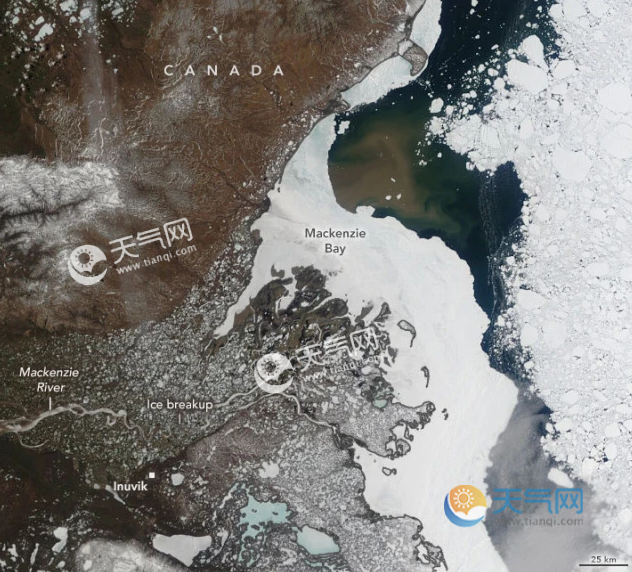 北冰洋一周变黑是怎么回事？北极也被污染了？