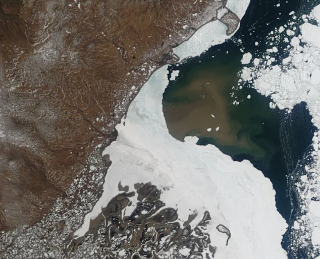 北冰洋一周变黑是怎么回事?北极也被污染了?