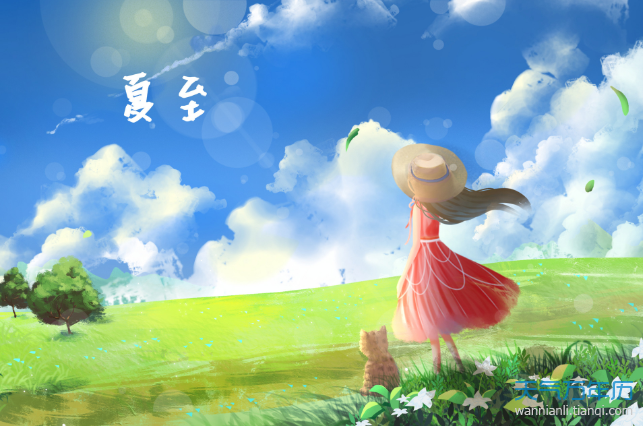 夏至是什么季节 夏至是不是夏季的节气