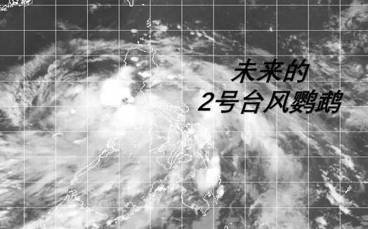 2020年2号台风会在哪登陆 2020年第2号台风鹦鹉登陆时间及地点