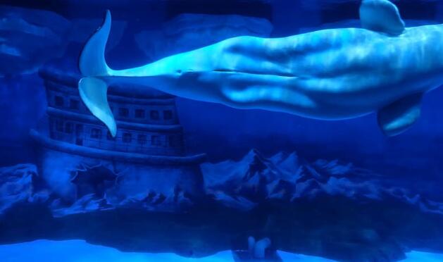 2020暑假带孩子去哪里旅游好玩 暑假亲子游最佳去处