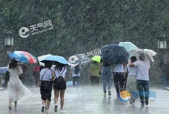 浙江台风最新消息实时路径图今天 台风鹦鹉会影响浙江