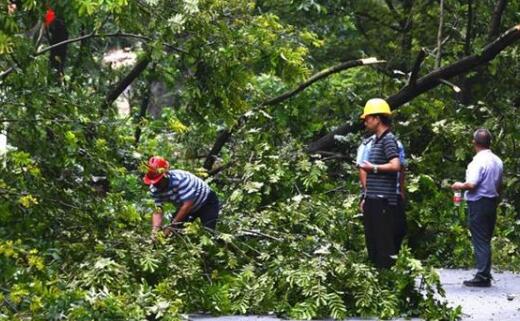 湖南白水洞景区发生山体滑坡 目前无人员伤亡景区已关闭