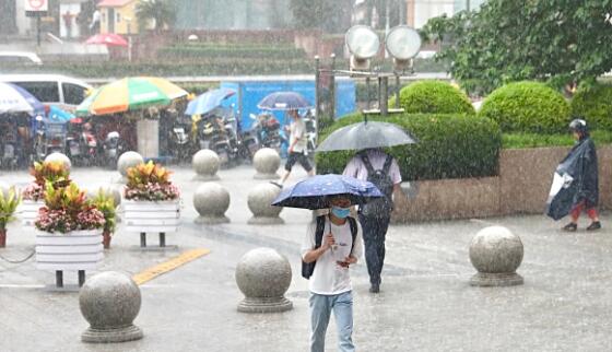 梅雨季上海降雨依旧强烈 局地气温跌至24℃体感凉快