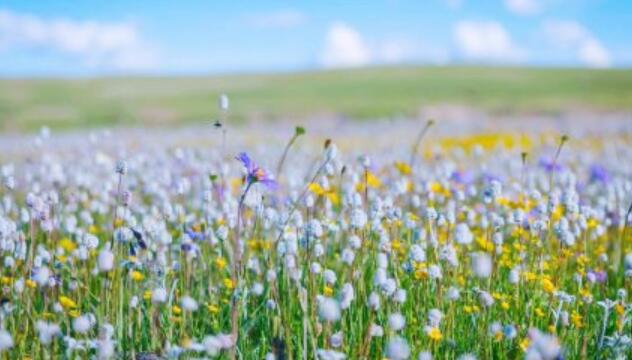 7月稻城亚丁旅游攻略 七月稻城亚丁旅游值得去的地方