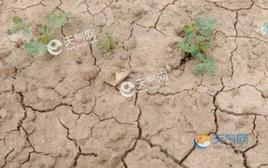 除郑州外,平顶山也发布了干旱预警.