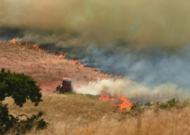 美国加州突发山火 过火面积3600亩居民撤离