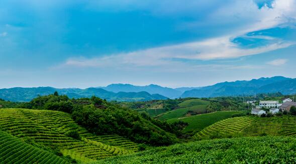 2020宁波夏天去哪里玩凉快 夏季宁波凉爽景美的好去处