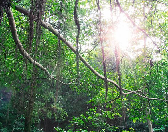 2020郑州周边夏天哪里旅游凉快 夏季郑州周边好玩避暑的地方