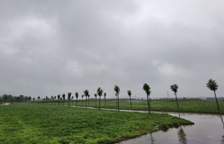 山东大部阴有小雨 明后天阳光上线晴间多云