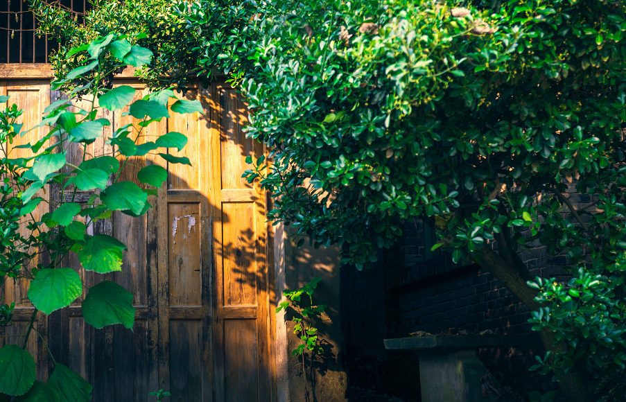 2020暑假长沙哪里好玩又不热 暑假长沙凉爽好玩的地方