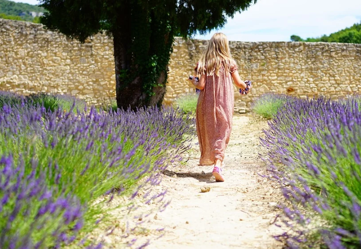 大暑小暑是什么意思啊 大暑小暑节气有什么特点