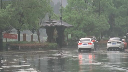 浙江端午节前雨水“刷屏” 浙北雨势最强其他地区阴雨