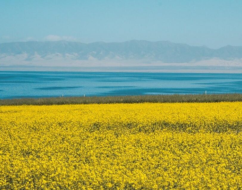 2020暑假青海湖旅游攻略 暑期青海湖游玩路线及注意事项