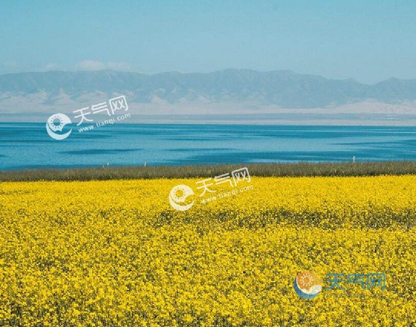 2020暑假青海湖旅游攻略 暑期青海湖游玩路线及注意事项