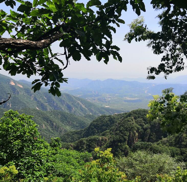 2020夏天天津哪里凉快 夏季天津避暑旅游好去处