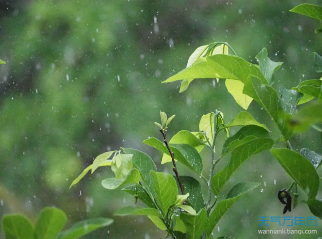 2020梅雨季节什么时候结束 今年什么时候出梅2020（多图）