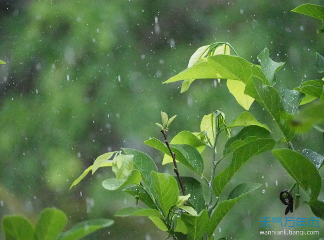 梅雨季节是什么时间 梅雨季节需要注意什么 万年历