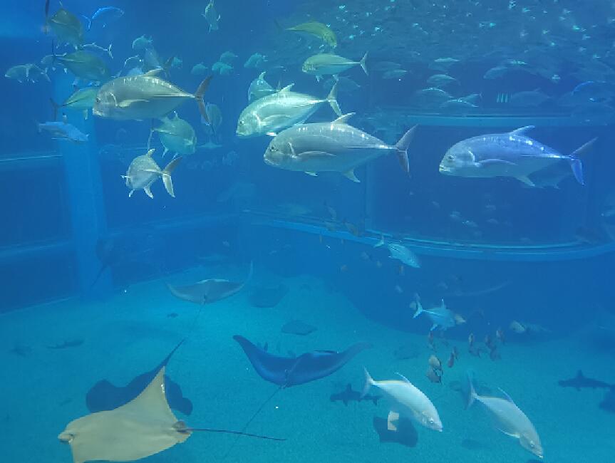 2020暑假广州亲子游玩攻略 暑期广州亲子游玩景点推荐