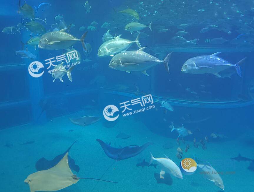 2020暑假廣州親子游玩攻略 暑期廣州親子游玩景點推薦