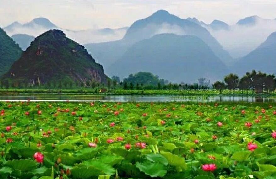 7月份带孩子去哪里旅游好玩七月适合带孩子去旅游的地方